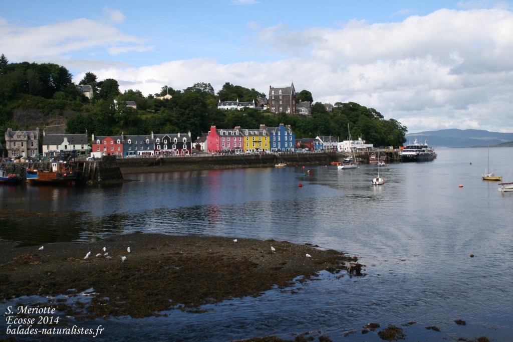 Tobermory