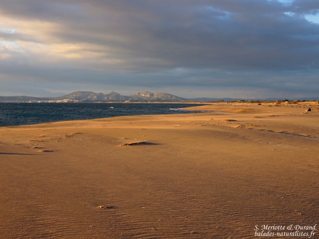 rp_aiguamolls-plage-badia-rosas-1024x768.jpg