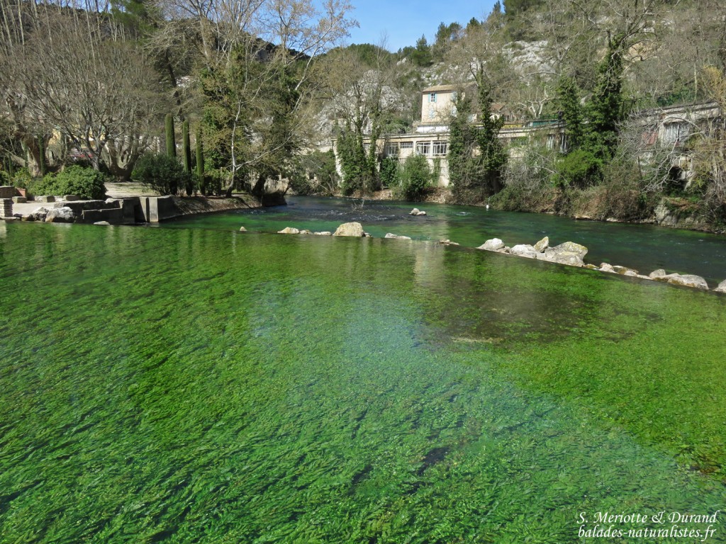 Fontaine de Vaucluse