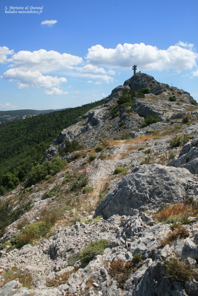 Mont Caume