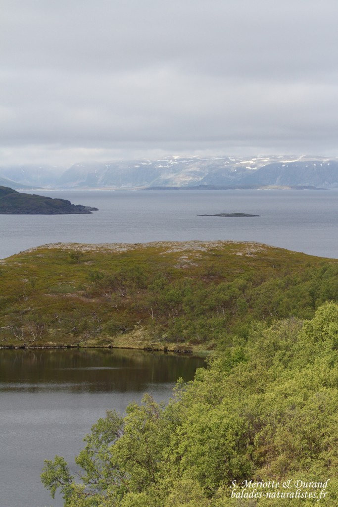 Langfjorddalen, Norvège