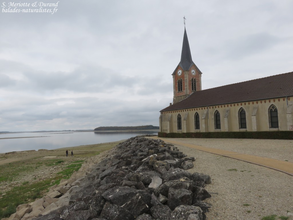 Eglise de Champaubert, Lac du Der