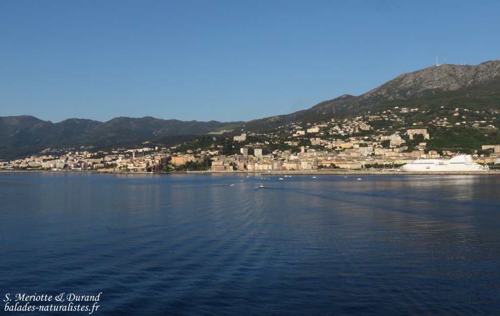 Bastia