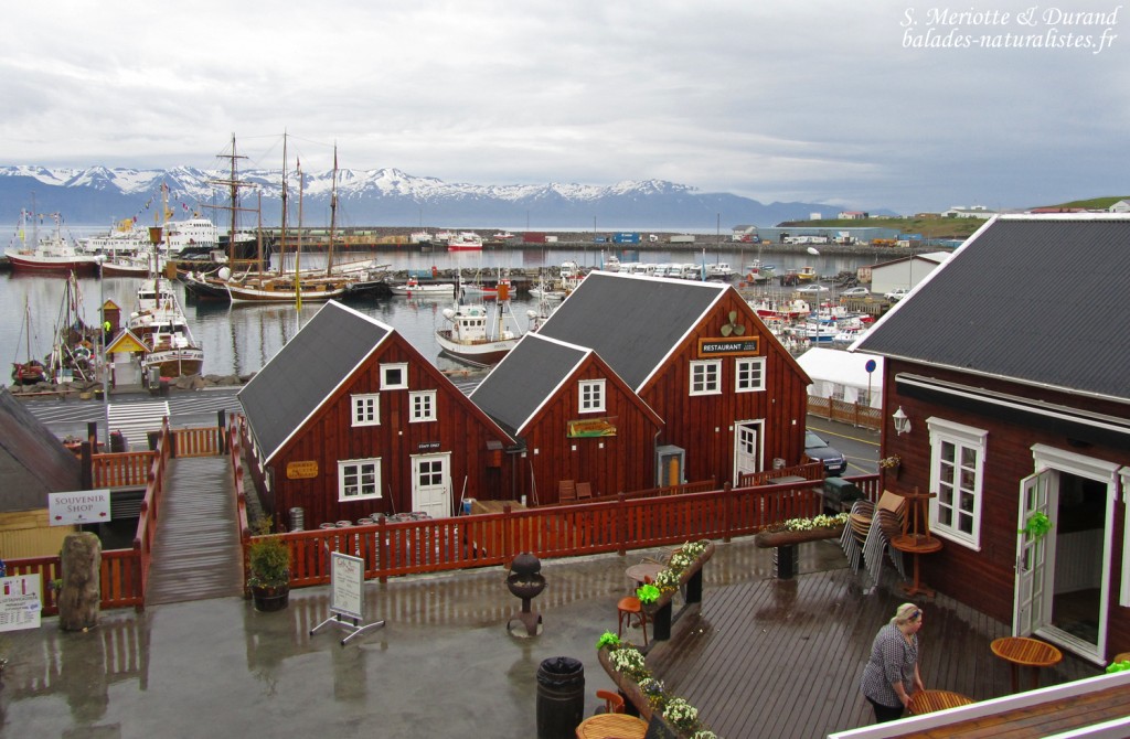 Husavik, Islande 2011
