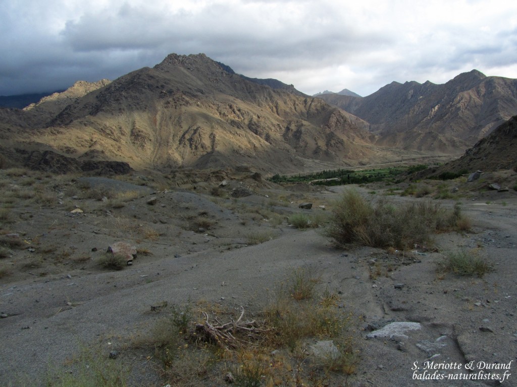 La vallée de l'Araxe à la frontière avec l'Iran