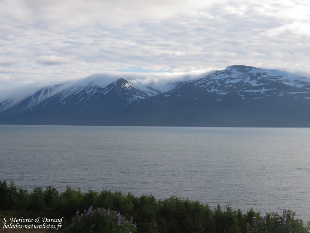 Eyjafjördur