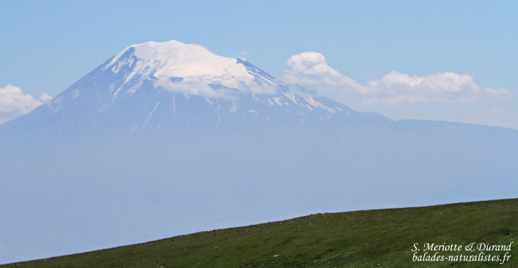 Vue sur le Mont Ararat depuis l'Aragats