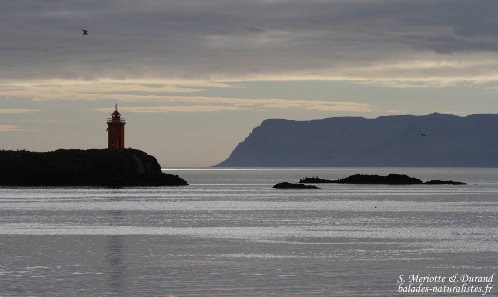Les iles du Breïdafjordur