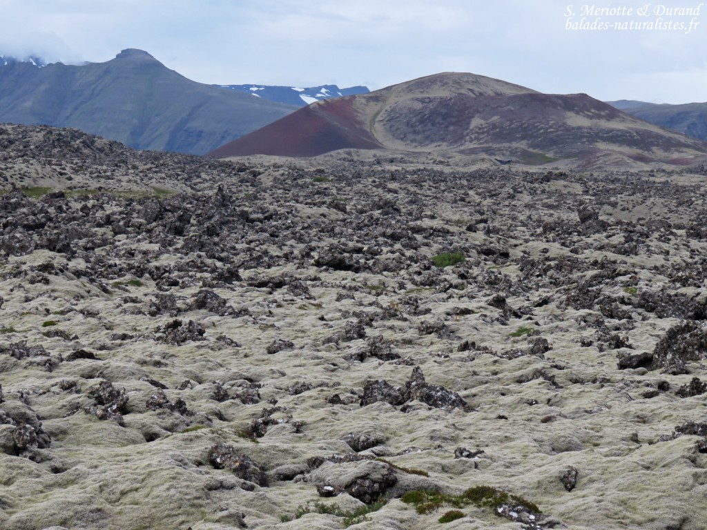 Cône pyroclastique et champ de lave signalent les origines volcaniques de l'Islande