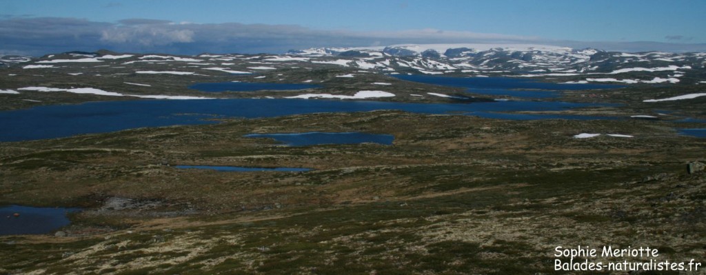 Parc national de l'Hardangervidda