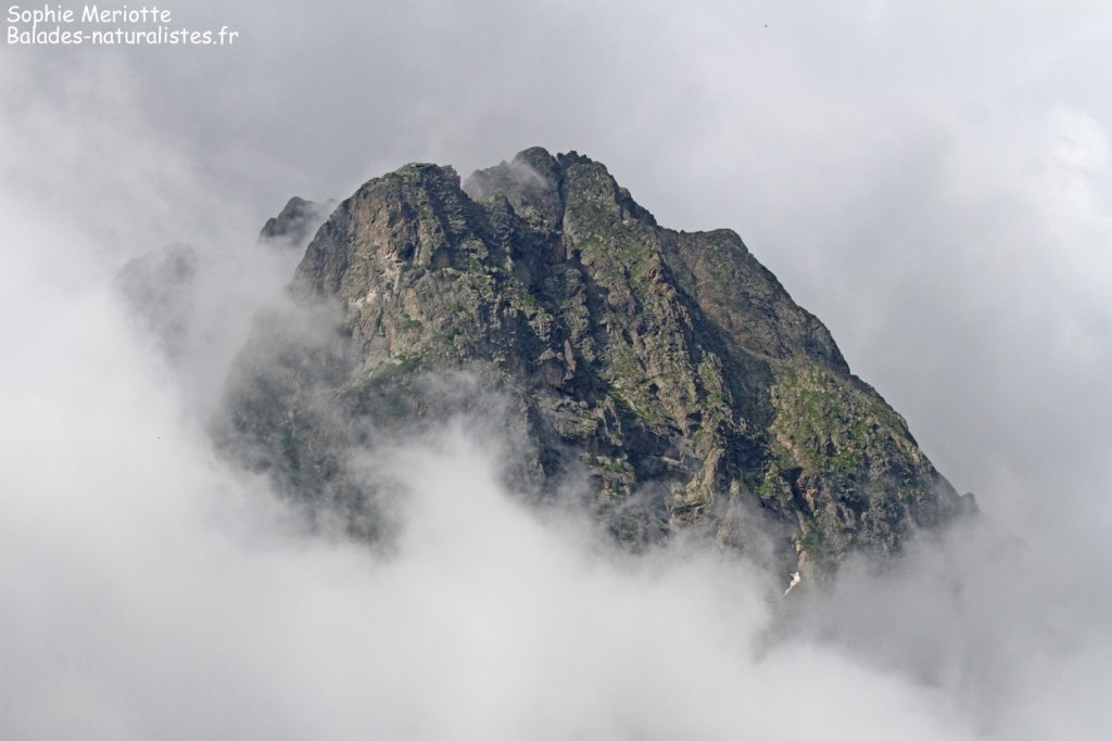 Massif des Aiguilles rouges dans les nuages