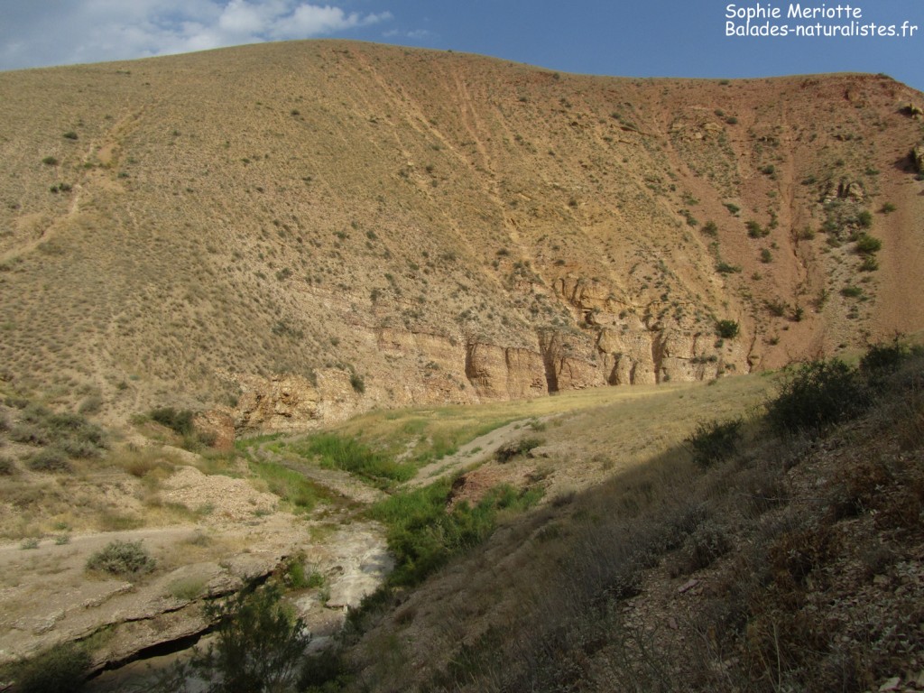 Le Wadi sec de Vedi