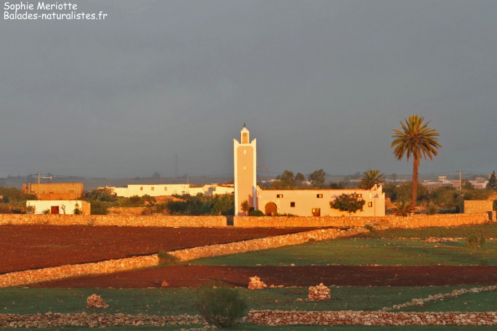 Route entre El Jadida et Safi