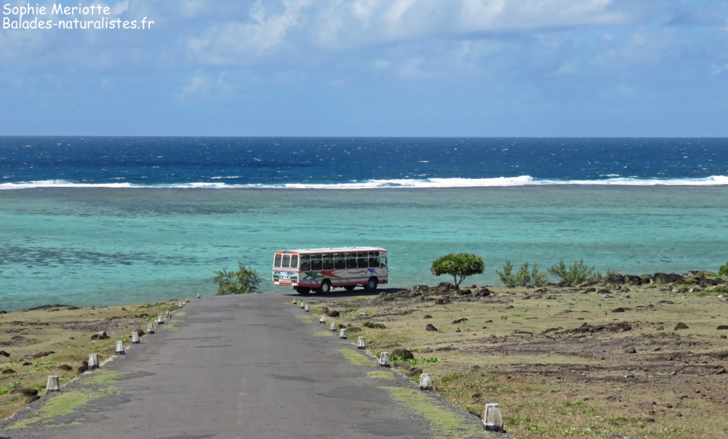 Route sur Rodrigues