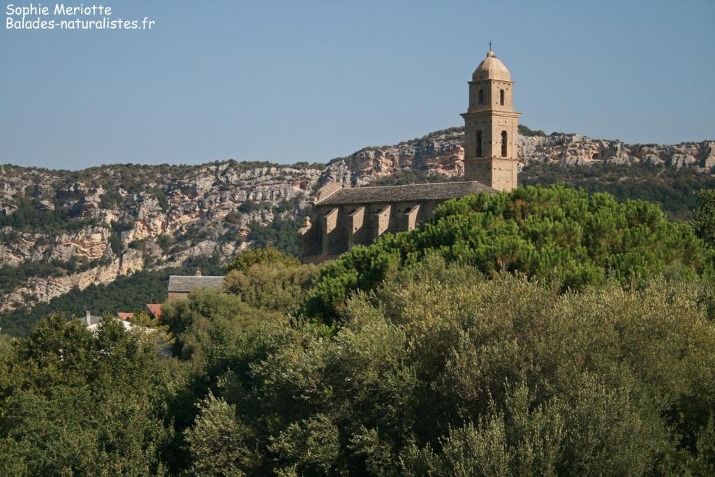 Le nord de la Corse