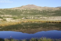 Parc national de Rondane : l’essence sauvage de la montagne norvégienne