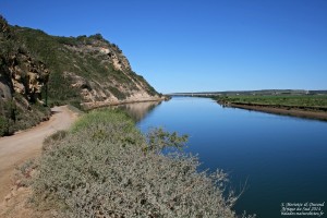 L’Estuaire de la rivière Gamtoos