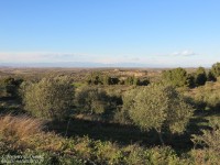 Les plaines steppiques au Sud de Lérida (Lleida)