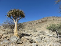 Sur les pistes du Namib-Naukluft