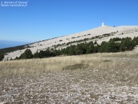 Les richesses naturelles du Mont Ventoux