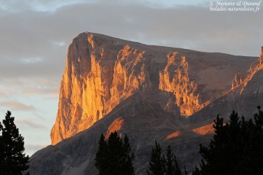 Archives des Hautes-Alpes - Balades naturalistes