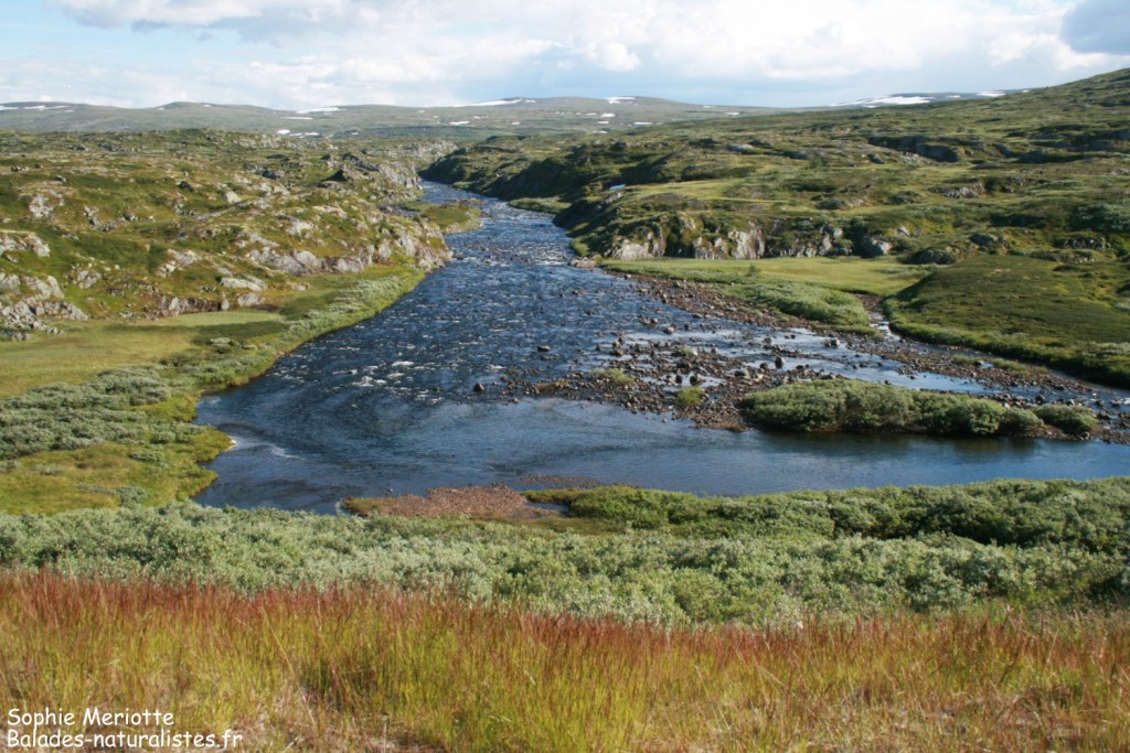 Hardangervidda 71 1024x683