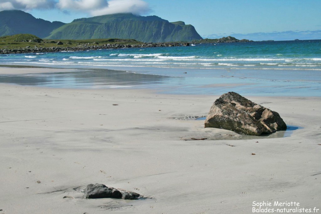 Lofoten 5 1024x683