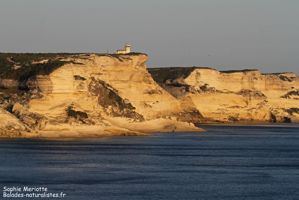 Corse 22bonifacio 1024x683