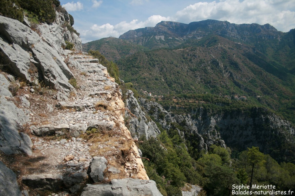 Vesubie Gorges Sentier Modifié 1 1024x683