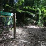 Panneaux explicatifs sur le sentier du pont Tamanou