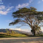 Col de Tango, Konetiwaka