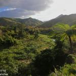 Lumières du soir sur la Konetiwaka