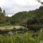 Konétiwaka