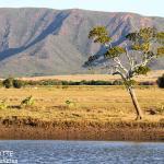 Le plateau de Tia domine la plaine de Pouembout