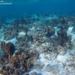 Formations rocheuses dans la dérivante dérivante