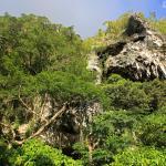 Route au nord de Nece