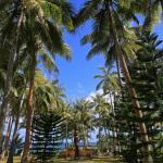 Tombeau de Yeiwene Yeiwene