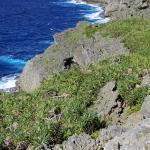 Les falaises de Shabadran