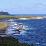 Côte du sud de Maré