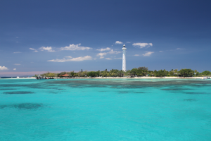 Excursion au phare Amédée