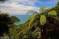 A la découverte du parc national d’Abel Tasman