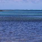 La faille et l'îlot Shark