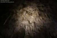Découvrez les secrets des  glowworms de Waitomo caves