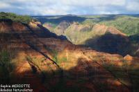 Kauai : Waimea Canyon et Koke’e State Park