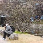 Le long de la rivière Kamo Gawa