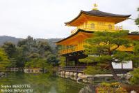 Kinkaku-ji et Ginkaku-ji : les pavillons d’or et d’argent