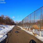 Kushiro City Red-crowned