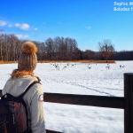 Observatoire des grues du Japon