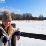 Observatoire des grues du Japon