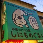 Les chats du quartier Yanesen